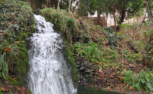 Bosque de la Alhambra