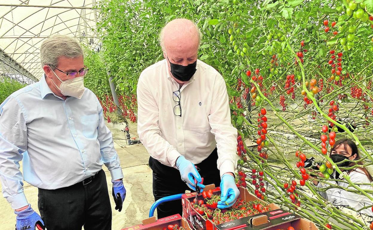 Vicente del Bosque es el embajador del tomate almeriense Sabor del Año 2021
