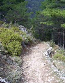 Imagen secundaria 2 - Senderismo en Granada | Un recorrido para descubrir la magia de la Sierra de Huétor