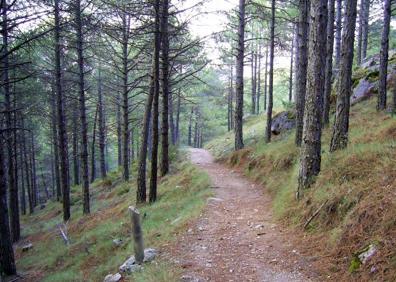 Imagen secundaria 1 - Senderismo en Granada | Un recorrido para descubrir la magia de la Sierra de Huétor