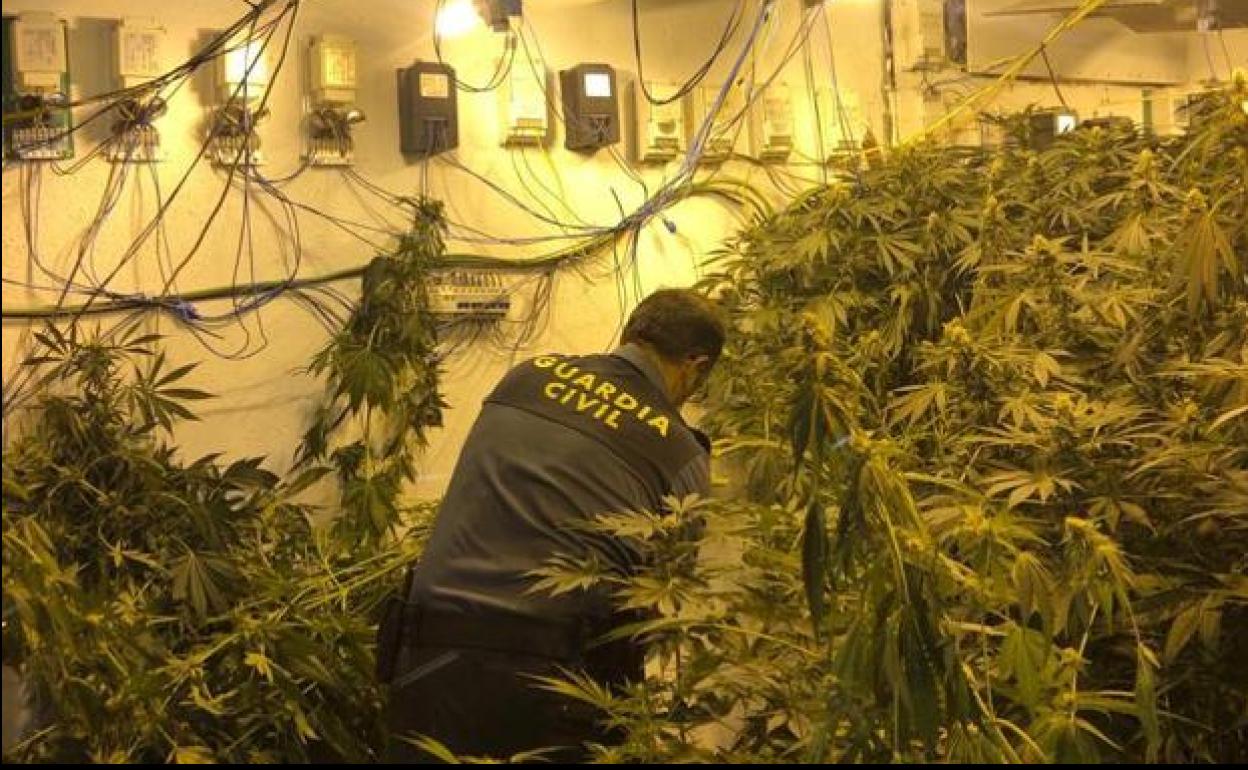 Imagen de archivo de otra incautación. 