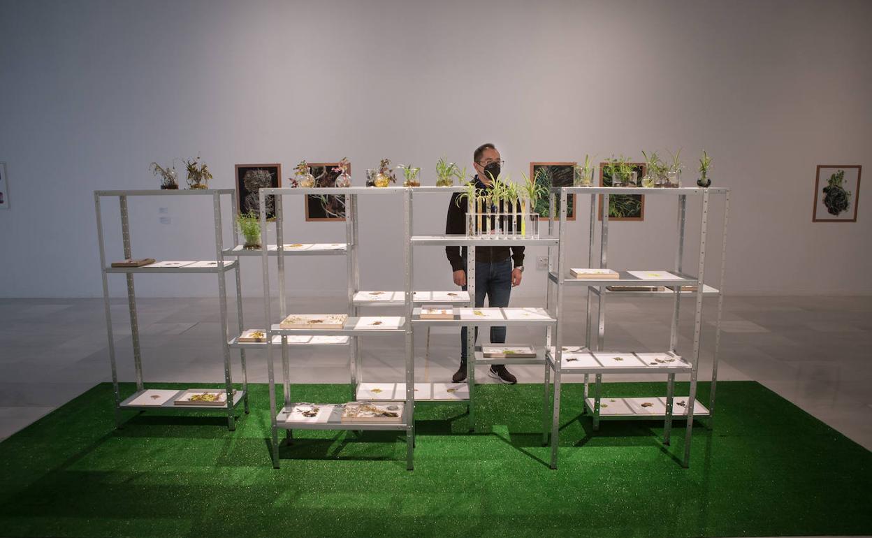 'Bioembroidery' se puede ver en la sala de exposiciones temporales del Centro Cultural CajaGranada. 