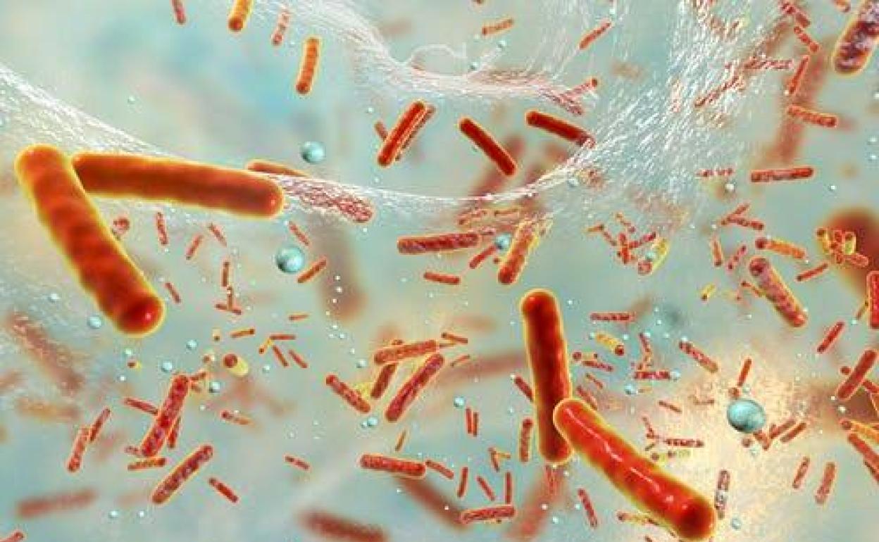 El problema de salud que causará 10 millones de muertes en 2050