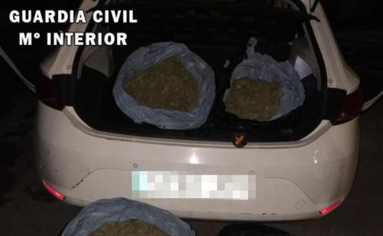 Droga en Granada | Pillado con 634 plantones de marihuana en su coche cuando los llevava a un invernadero