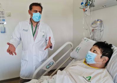 Imagen secundaria 1 - Rosa, en planta. 