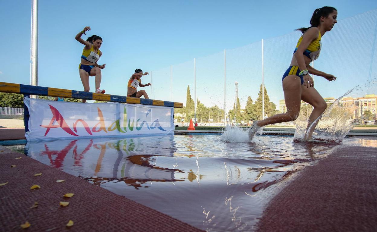 Prueba femenina de obstáculos en la edición de 2019, la última en celebrarse. 