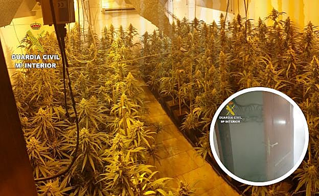 Un incendio en una casa de Monachil deja al descubierto el invernadero de marihuana del inquilino