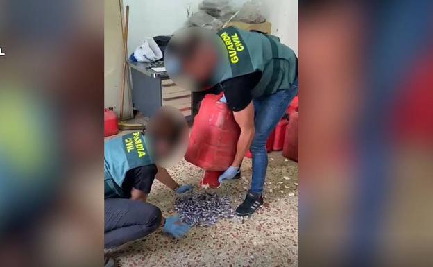 Operación Teclazo en Motril: siete detenidos y 800 kilos de hachís incautados