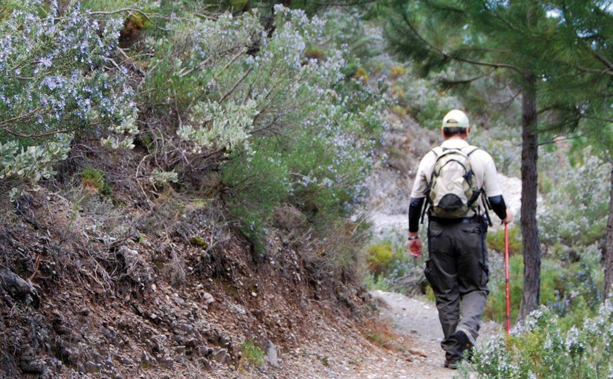 El estrecho sendero desciende hasta el nacimiento del río Verde. 