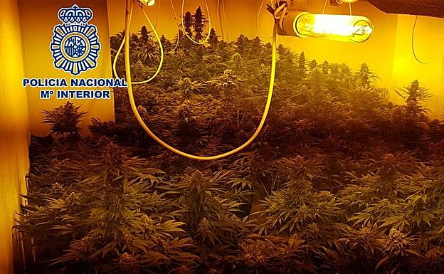 Tres detenidos en el Zaidín por llenar de marihuana dos pisos del barrio 