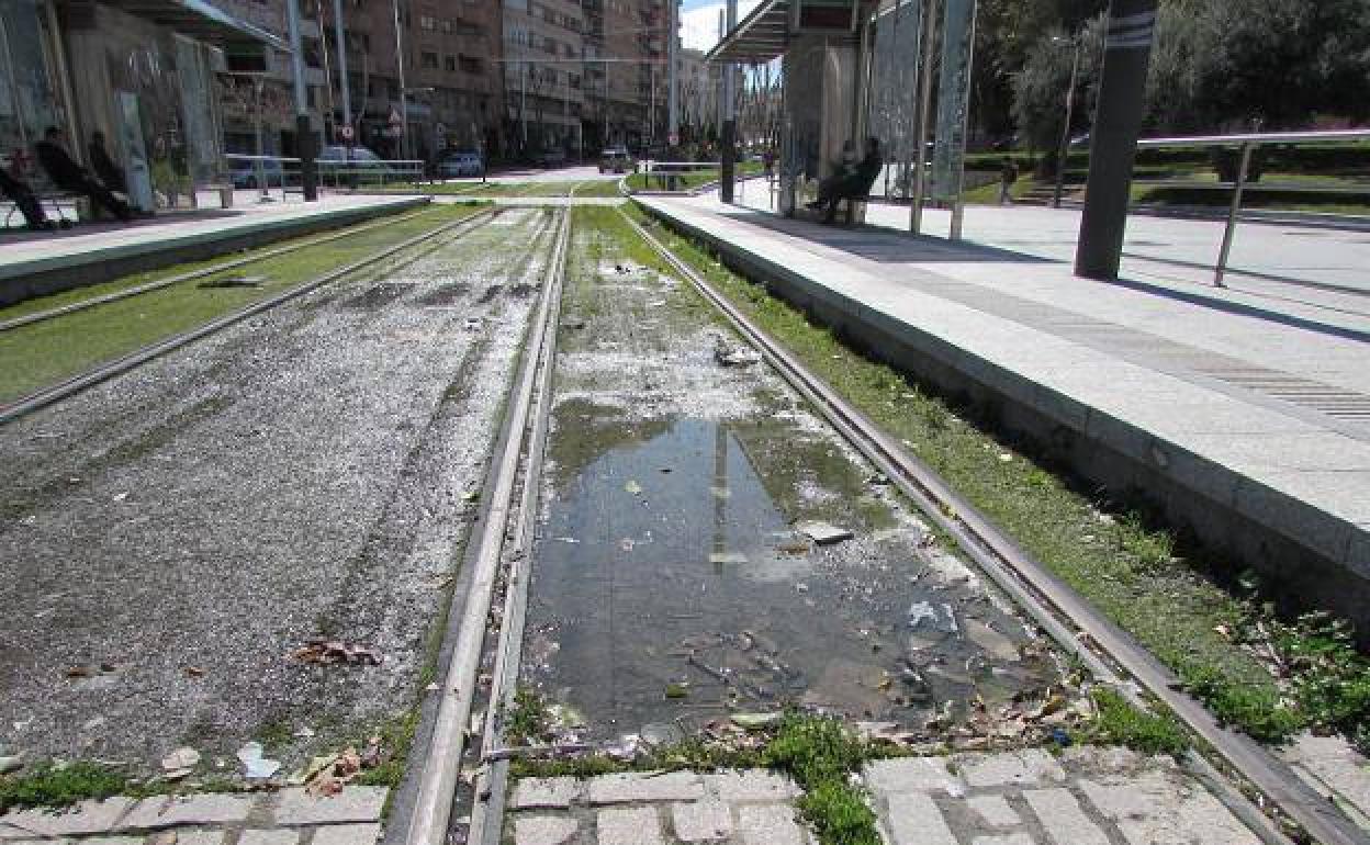 Agua estancada con anterioridad en las vías del tranvía de Jaén, en la parada junto a Renfe. 