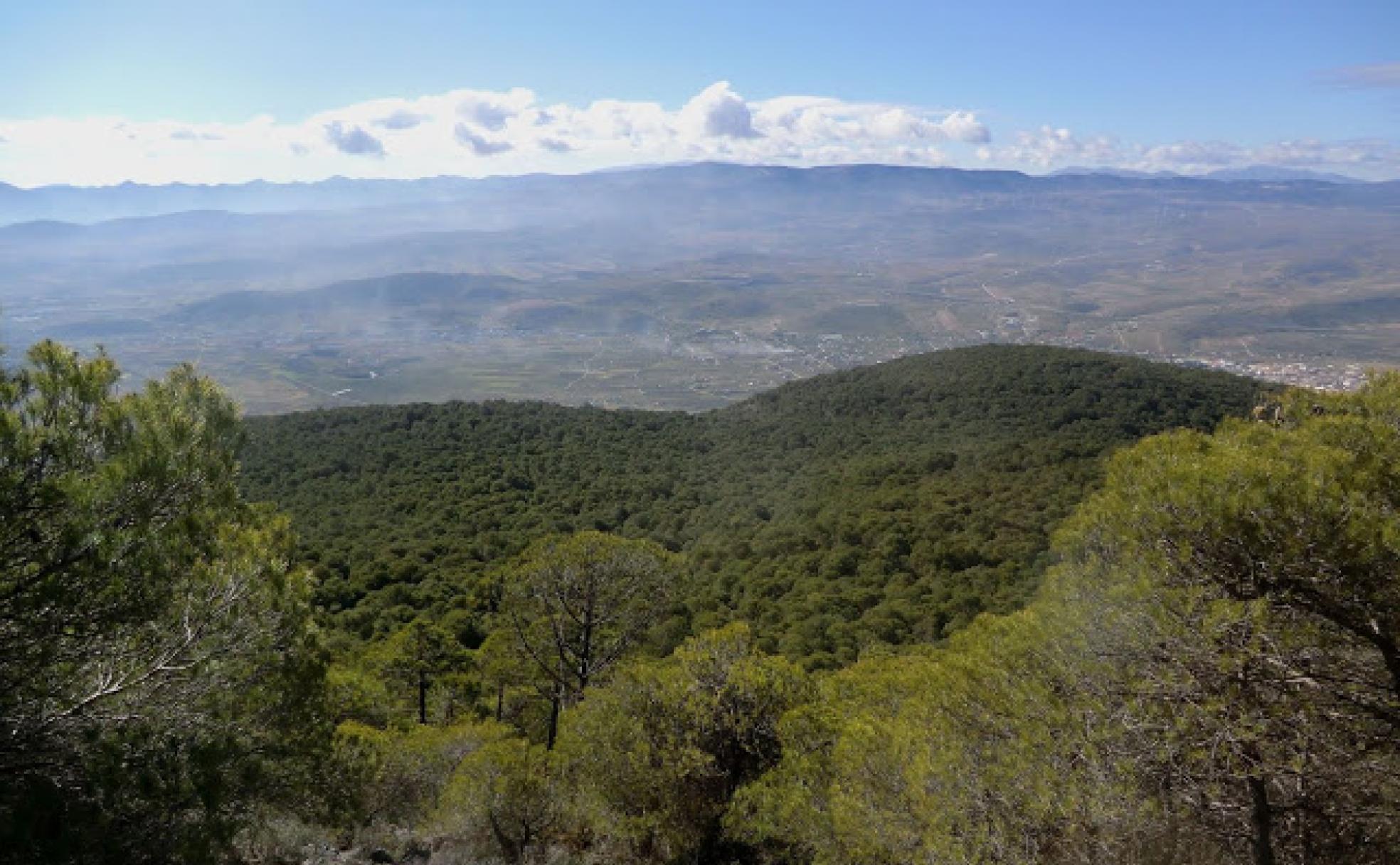 Vista desde uno de los miradores del recorrido.