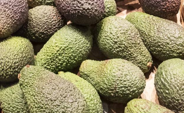 Alertan de unos aguacates con pesticidas peligrosos para la salud