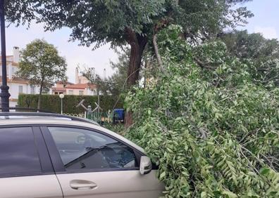 Imagen secundaria 1 - Algunas de las incidencias de anoche por la tormenta.