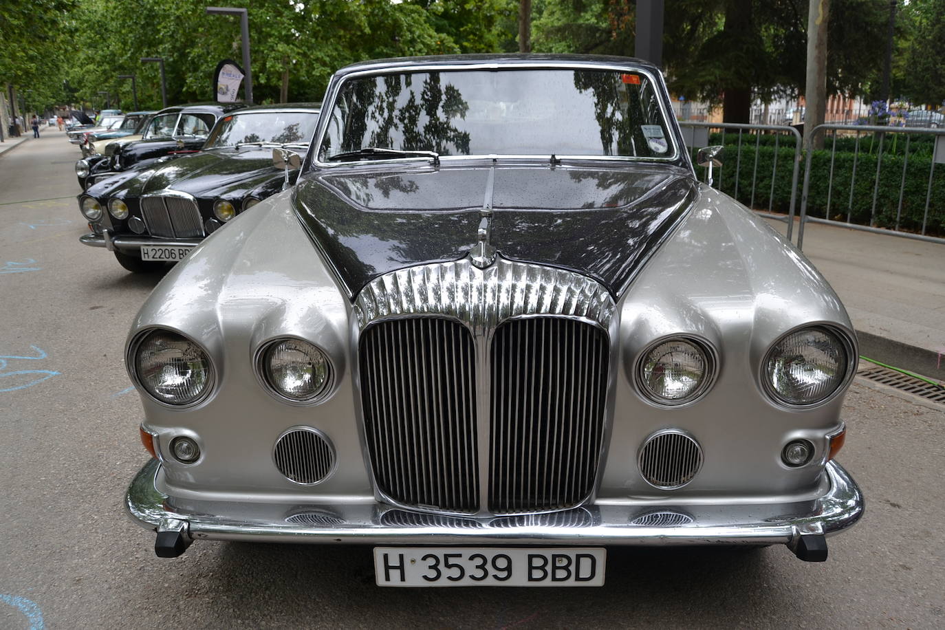 Hasta las 15 horas del domingo se podrán contemplar en el Paseo del Salón, los más de 70 vehículos del siglo pasado participantes en la XVII Ruta Reale.