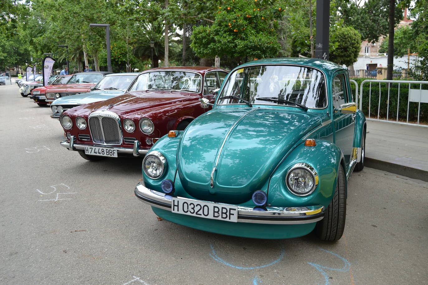 Hasta las 15 horas del domingo se podrán contemplar en el Paseo del Salón, los más de 70 vehículos del siglo pasado participantes en la XVII Ruta Reale.