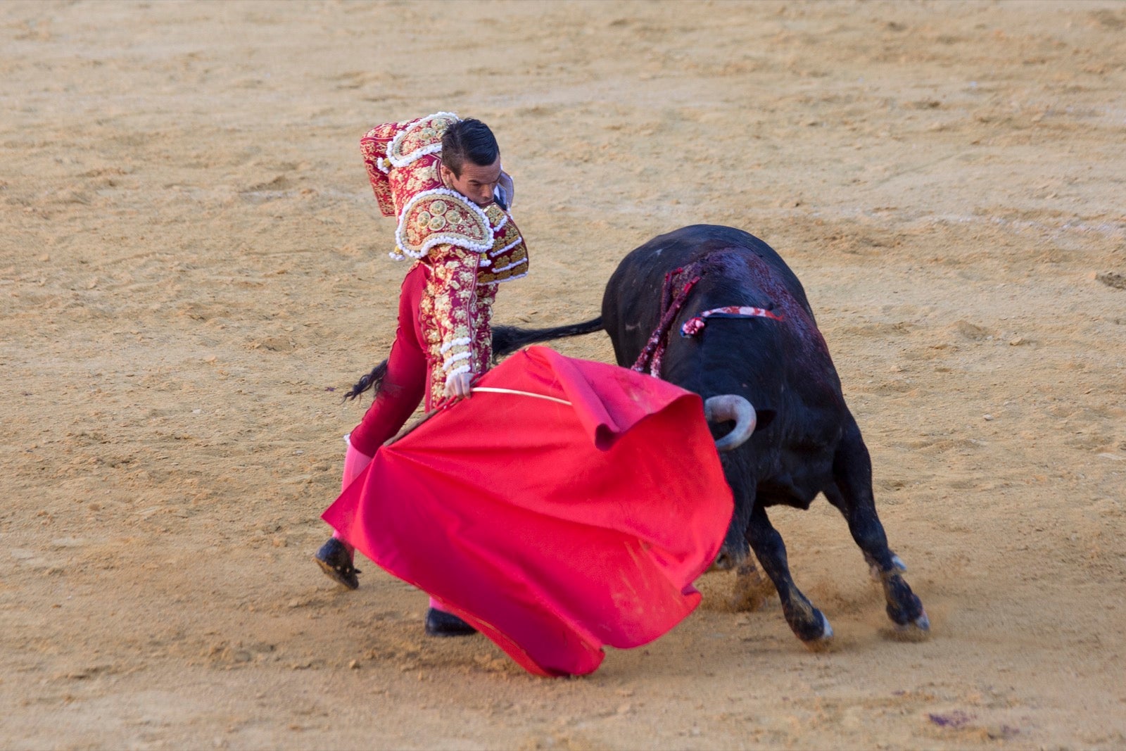 Morante, Manzanares y Aguado cierra la feria taurina.