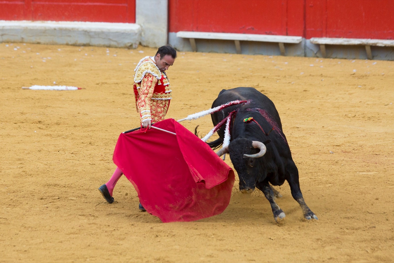 Segunda corrida de la feria taurina de Granada