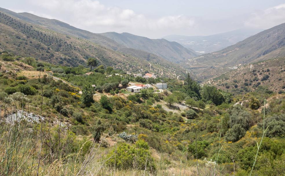 El anejo de Fregenite, desde la carretera que une Órgiva con Albuñol. Al fondo se aprecian los invernaderos de plástico de la Costa Tropical. 