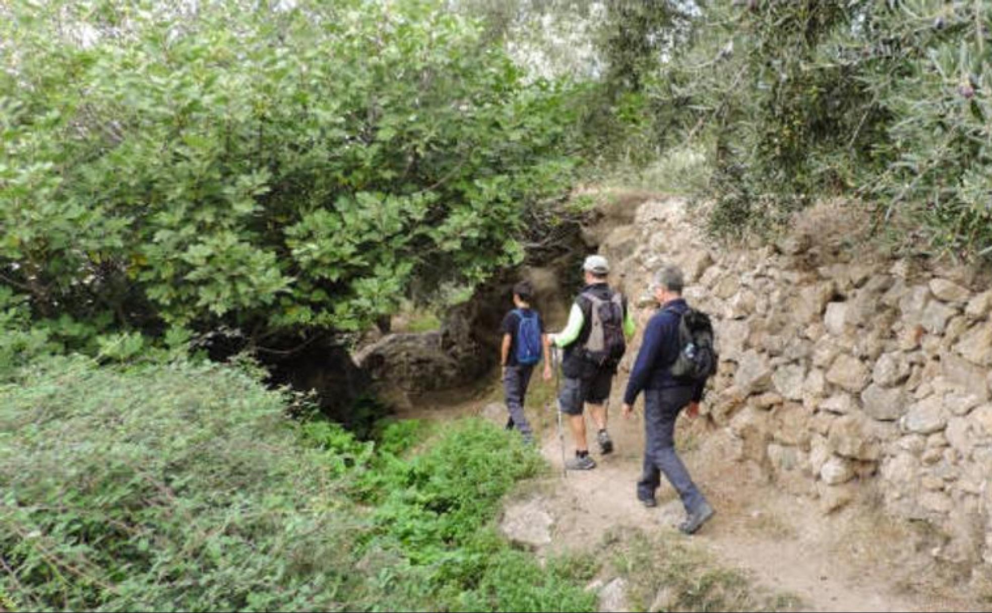 Personas por el sendero de Alcolea. 