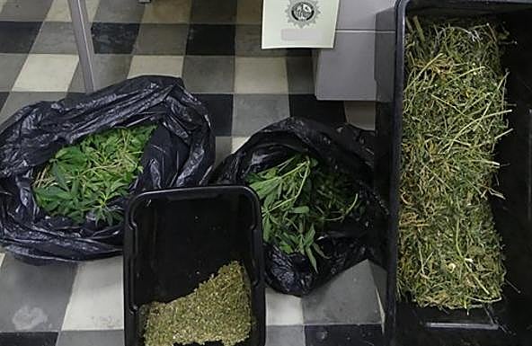 Hallan marihuana en la casa de Baza del británico que fue arrestado tras disparar a otro