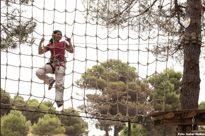 Tirolinas y otros juegos en árboles para disfrutar con niños en la Sierra  de Huétor | Ideal