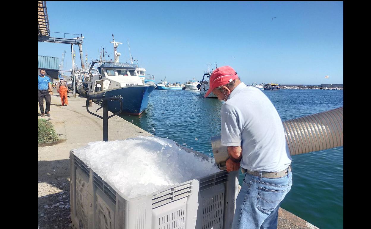 Un operario carga hielo para la lonja pesquera