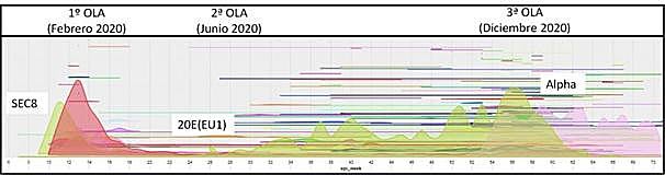Figura 1. Variantes detectadas en España desde las primeras introducciones de SARS-CoV-2 (cada color es una variante). En la gráfica (para más detalle consultar en seqcovid.csic.es) se resalta el inicio de cada una de las tres principales olas en España y de las variantes asociadas y discutidas en este trabajo.