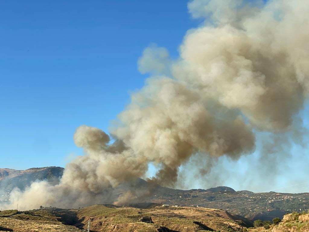 Fotos: El fuego quema el Barranco de San Jerónimo