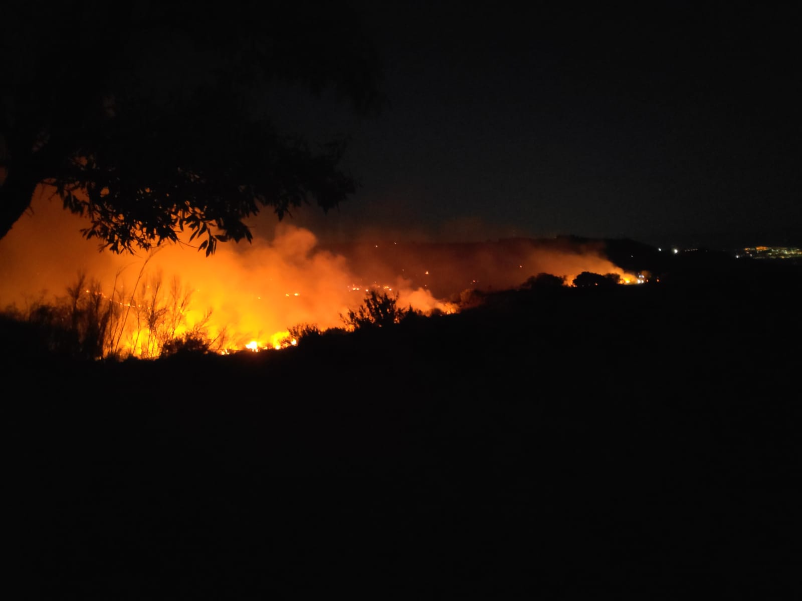 Fotos: El fuego quema el Barranco de San Jerónimo