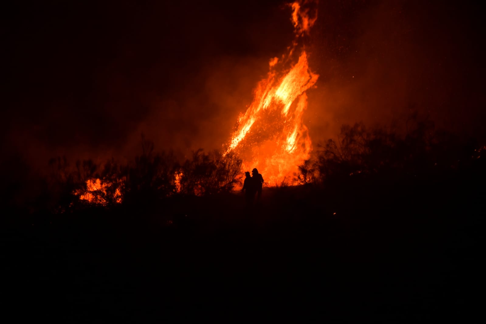 Fotos: El fuego quema el Barranco de San Jerónimo