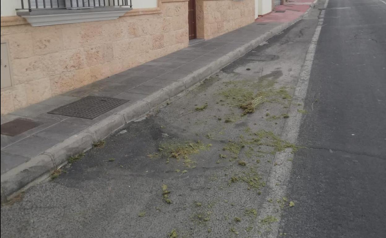 Restos de marihuana que los ladrones dejaron donde aparcaron el coche después del robo.