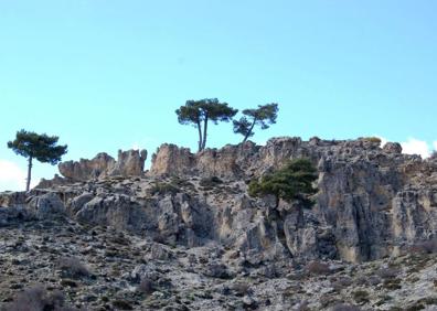 Imagen secundaria 1 - Un ascenso entre pinares por el Cerro del Buitre de Granada