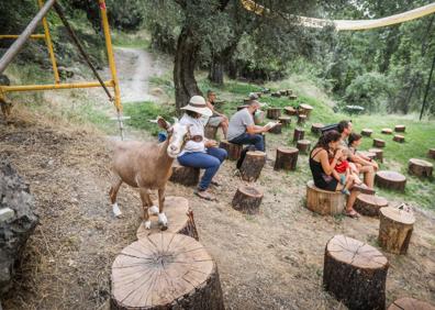 Imagen secundaria 1 - Ensayo de 'Almavera', en el anfiteatro. Sí, se coló una cabra. 