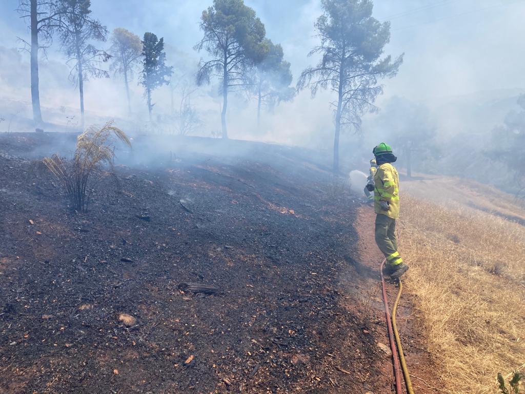 Las imágenes del incendio declarado este sábado en el popular enclave de la ciudad granadina