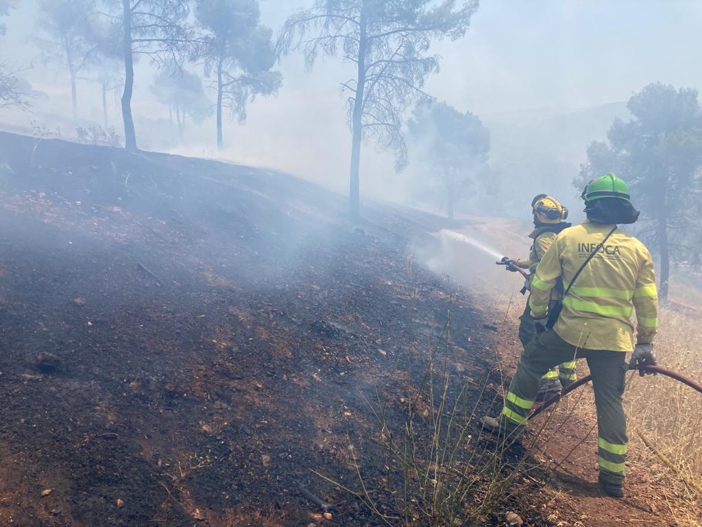 Las imágenes del incendio declarado este sábado en el popular enclave de la ciudad granadina