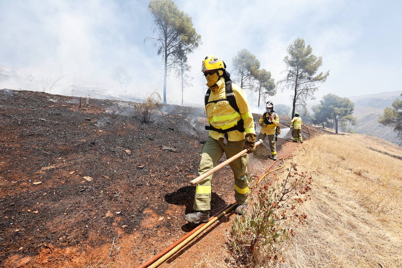 Las imágenes del incendio declarado este sábado en el popular enclave de la ciudad granadina