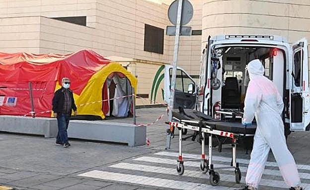 23 muertos por covid en Andalucía en 24 horas, el peor dato desde el 11 de mayo