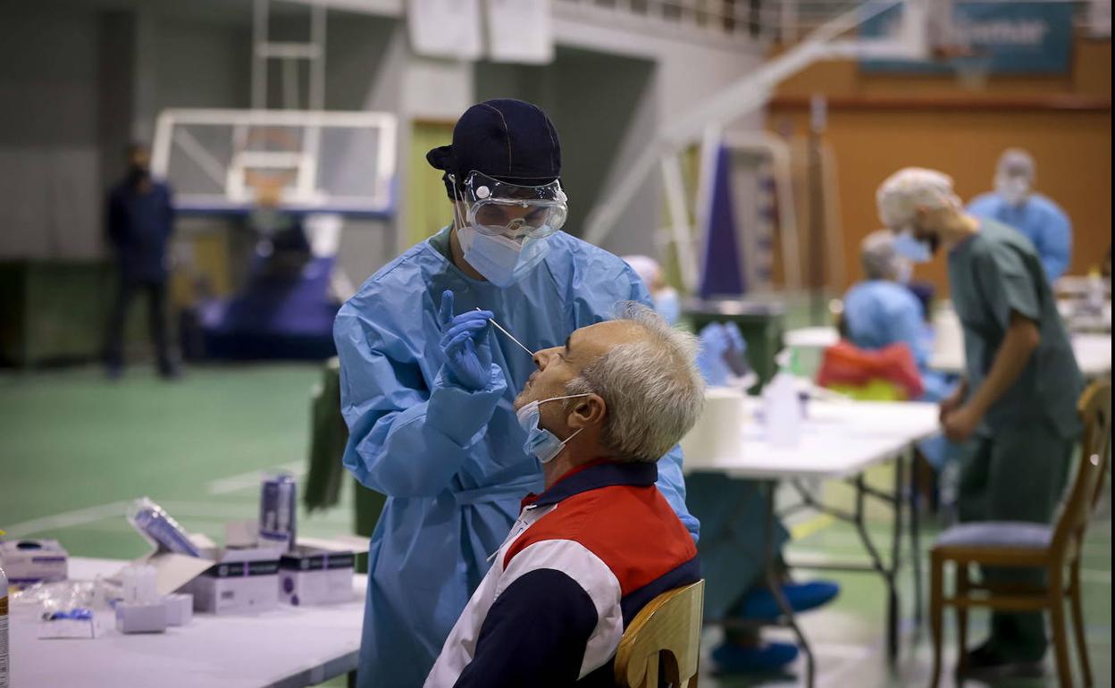 Cribados masivos en Granada. 