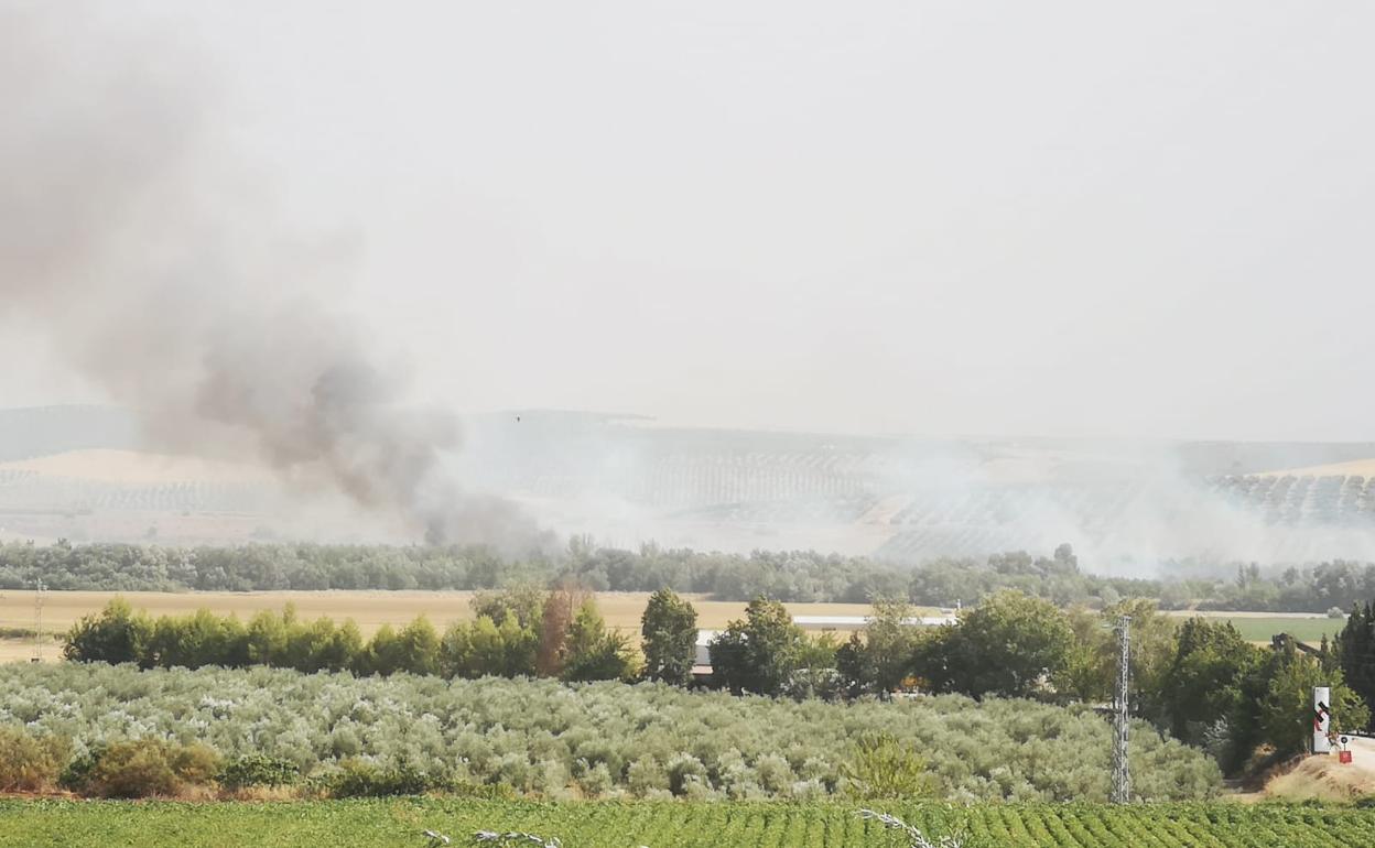 Humo ascendiendo desde la zona en la que tuvo lugar el incendio.