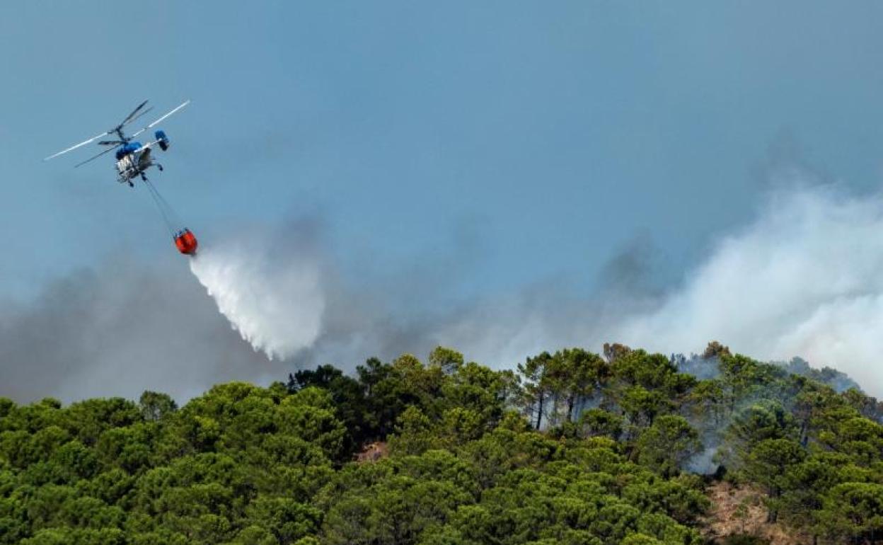 Fallece un bombero forestal del Infoca en el incendio de Sierra Bermeja
