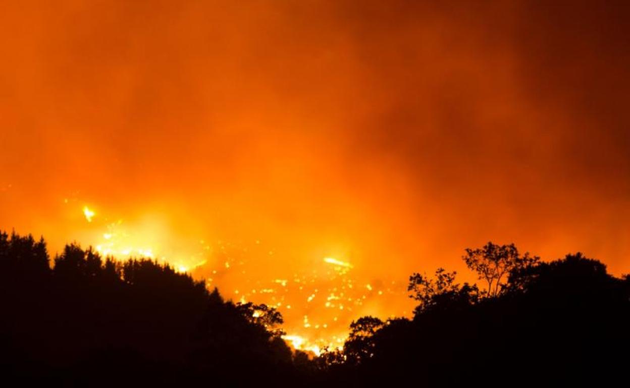 Las llamas avanza en Sierra Bermeja, en Málaga