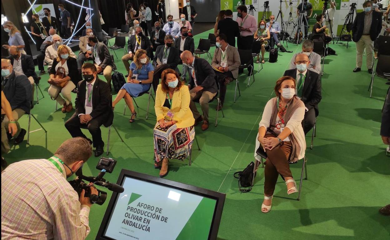 Jaén producirá 480.000 toneladas de aceite de oliva, menos que la pasada campaña
