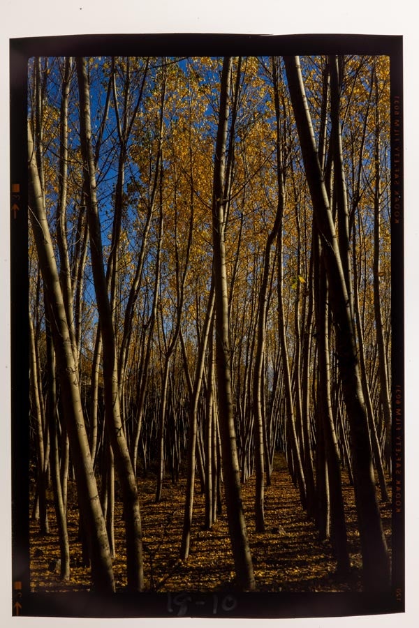 Vista de Padrollano que el Padre Ferrer tomó en los años 70.