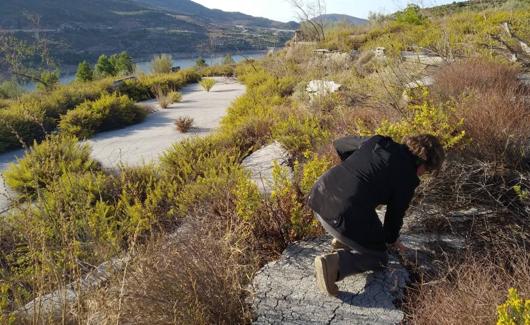 Grietas en el terreno con el embalse de Rules al fondo. 