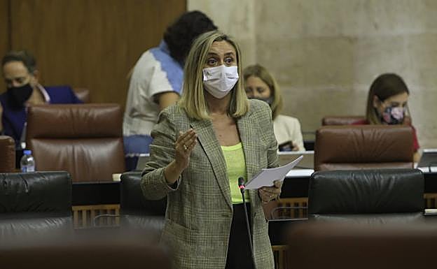 La Junta pide el restablecimiento de todos los servicios de AVE y Media Distancia a Granada