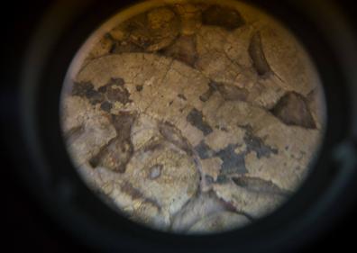 Imagen secundaria 1 - Mirando a través de la lupa. 