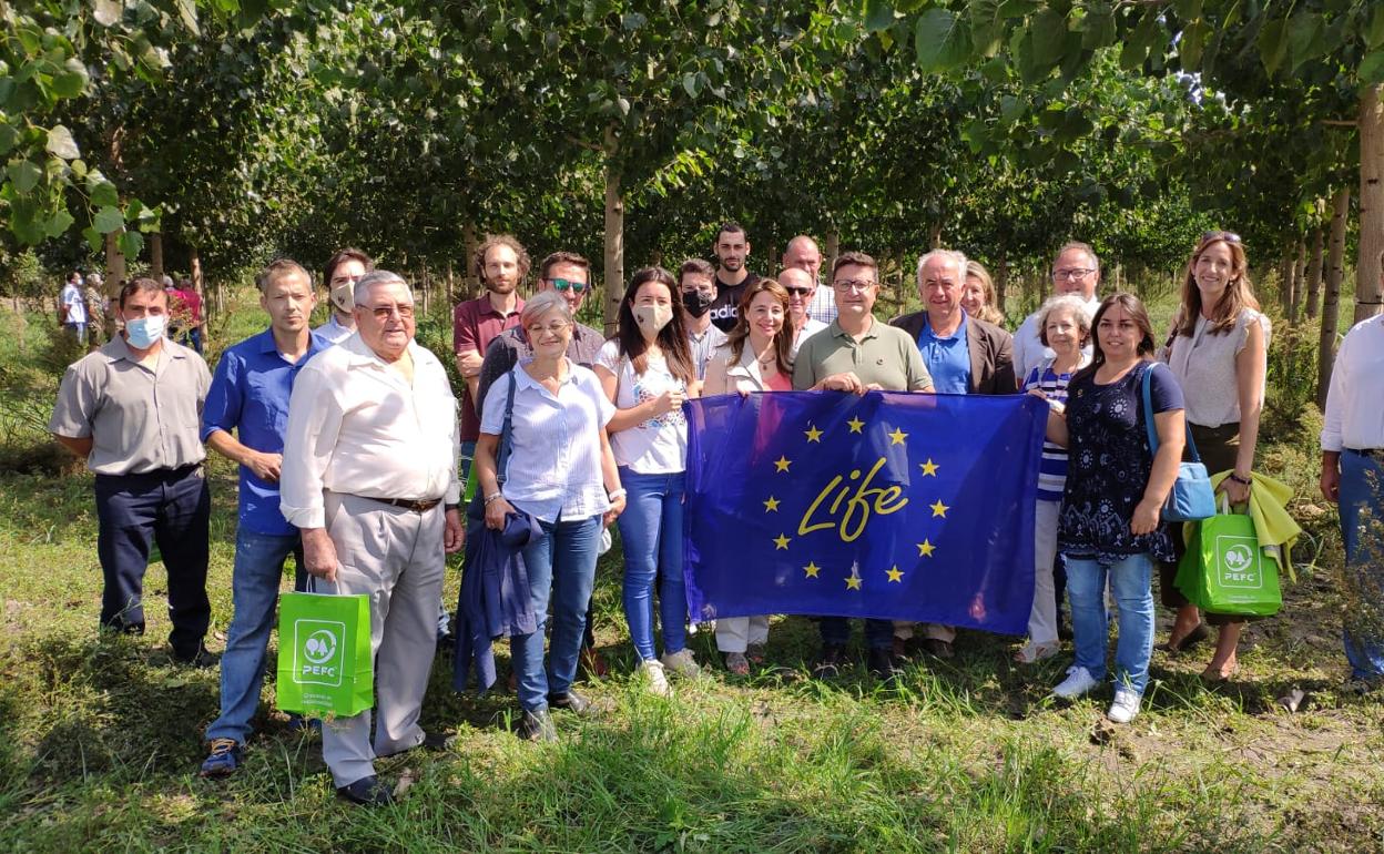 Un nuevo proyecto propone recuperar las alamedas de la Vega para reducir la contaminación