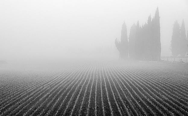 Imagen principal - Fotografías de José A. Mesa, Ramona Richter y Jesús López. 
