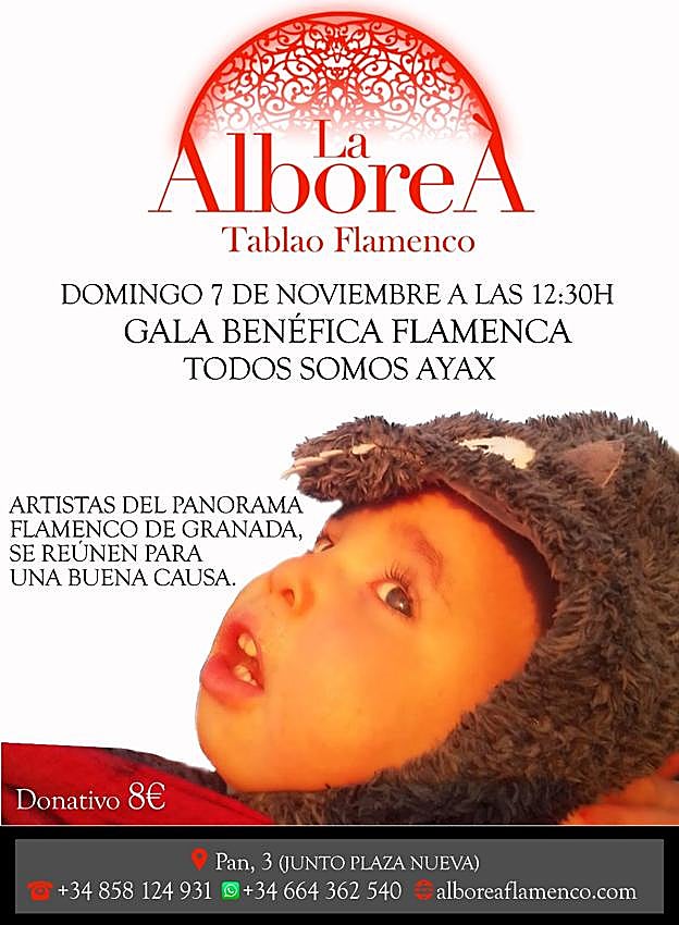 Cartel del evento de flamenco benéfico.